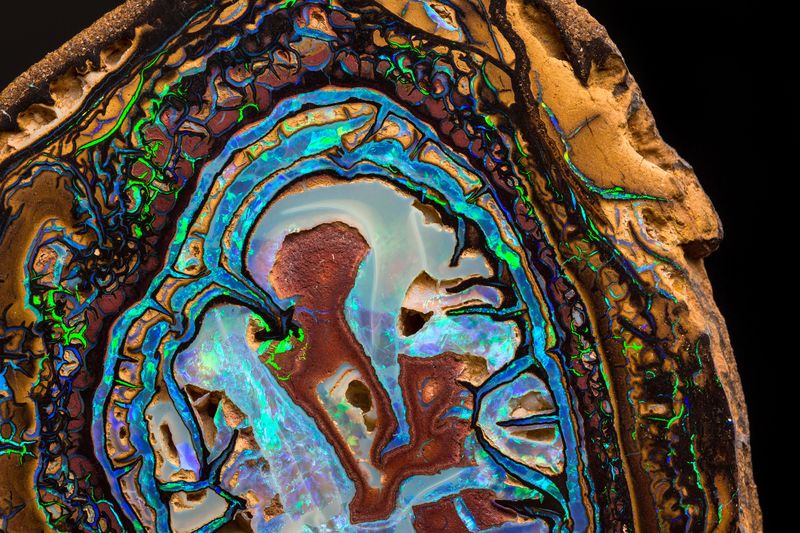 Opal (boulder_opal_variety)-MIM_Museum(1756-1).jpg