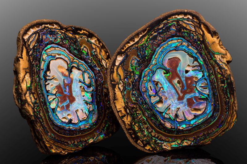 Opal (boulder_opal_variety)-MIM_Museum(1756).jpg