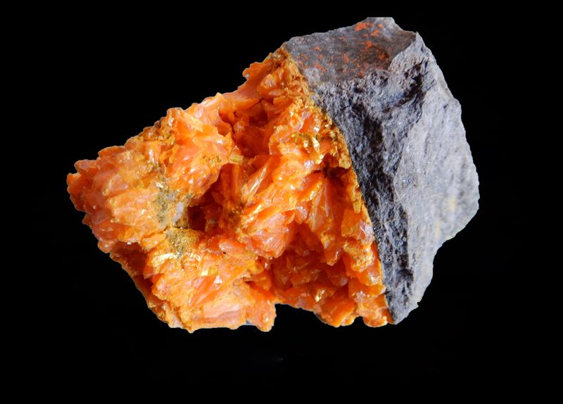 Orpiment no 25 - FMF.jpg