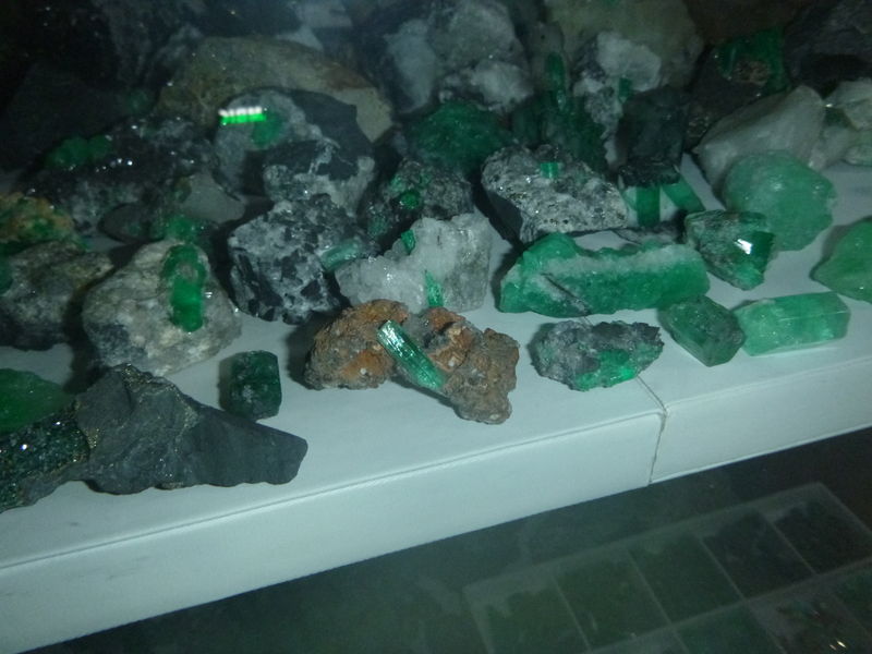 P1020163.JPG