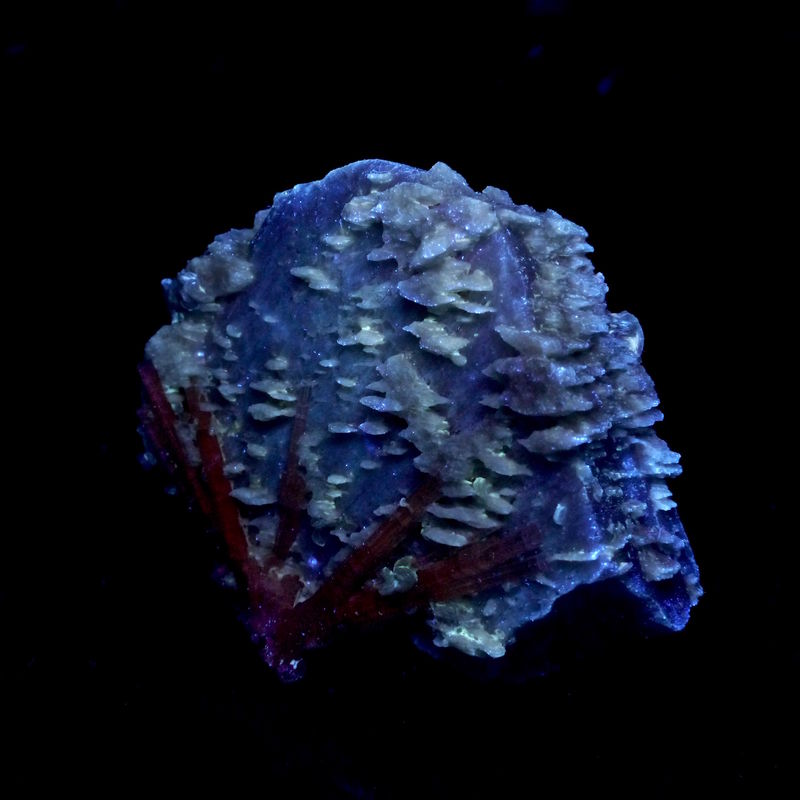 P1040147.jpg