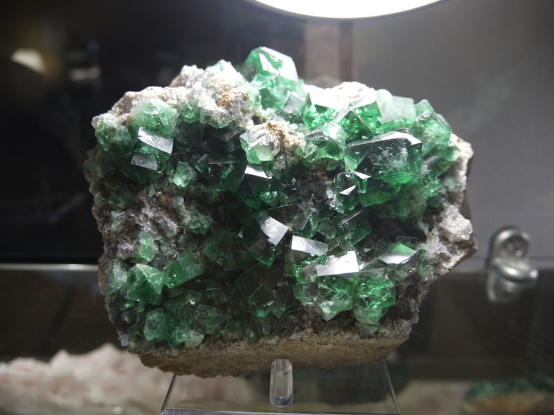 P1060490.JPG