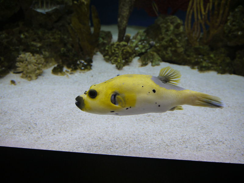 P1070061.JPG
