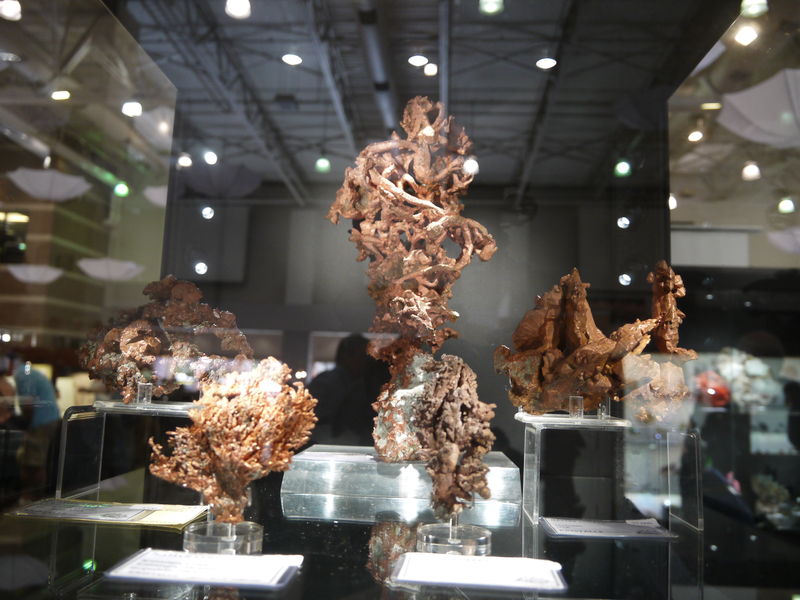 P1070240.JPG