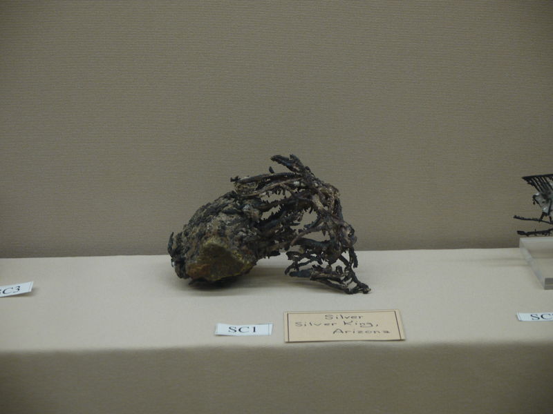 P1070251.JPG