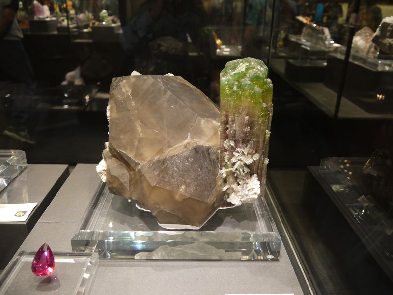 P1070257.JPG