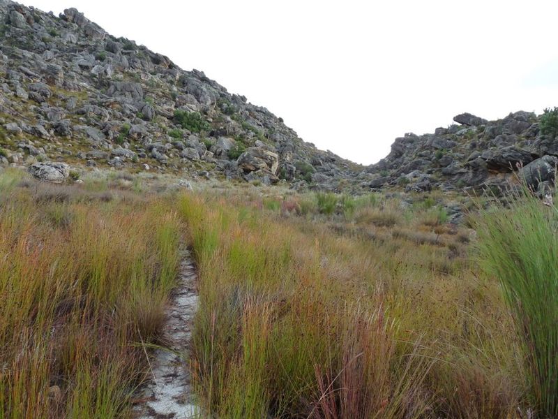 P1130342.JPG