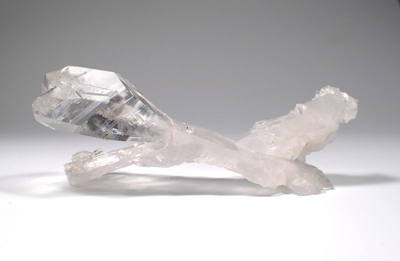 PA210183.JPG
