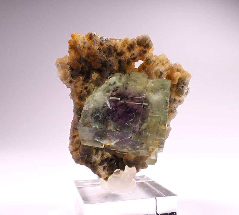 PA210208.JPG