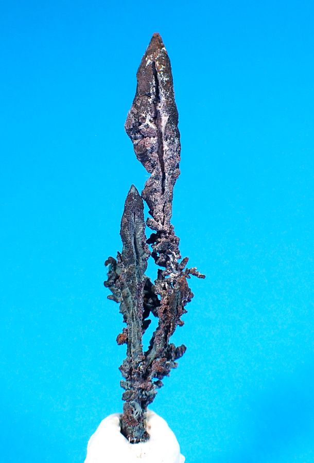 PA310277.JPG