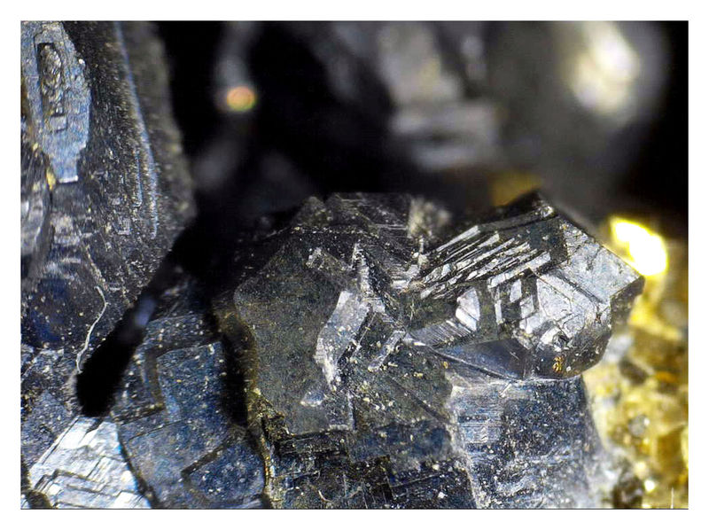 Palomo Galena with Pyrite - Under the Microscope 6.jpg