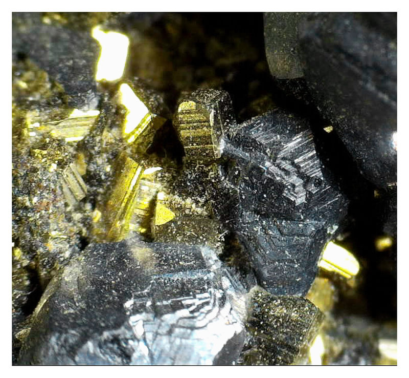 Palomo Galena with Pyrite - Under the Microscope 9.jpg