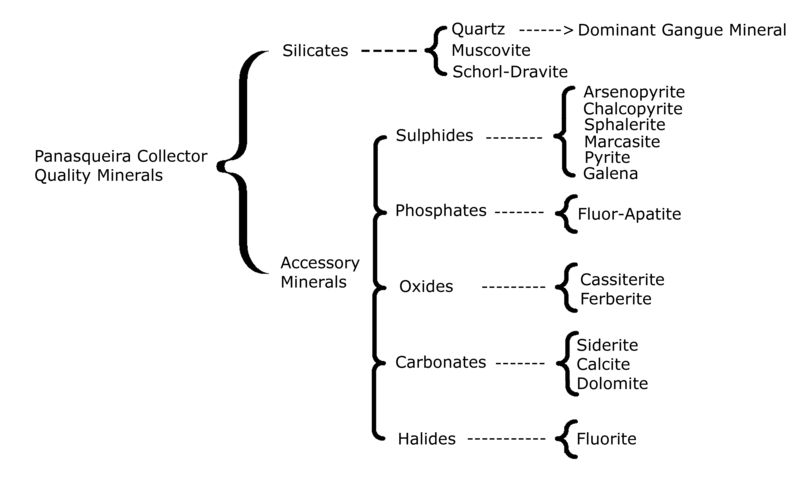 Panasqueira Collector Minerals.jpg