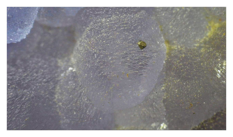 PYRITE ON FLUORITE - UNDER THE SCOPE 2.jpg