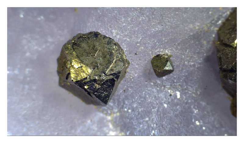 PYRITE ON FLUORITE - UNDER THE SCOPE 5.jpg