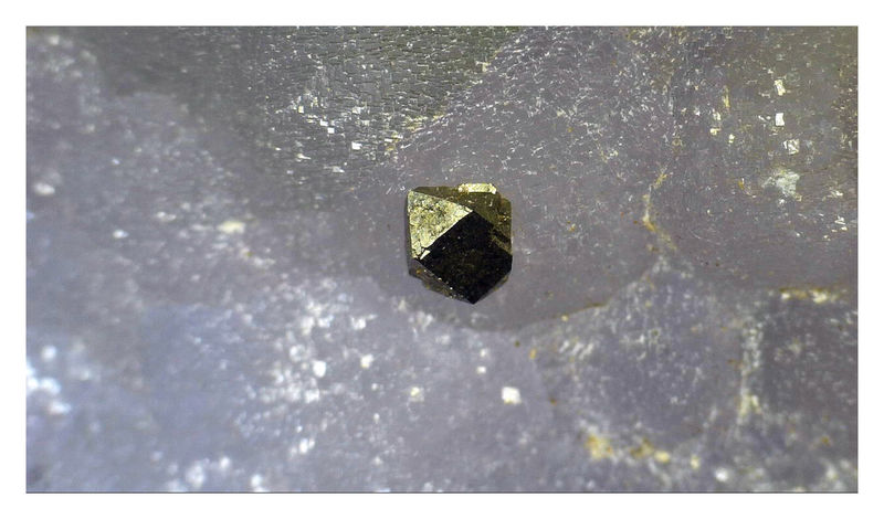 PYRITE ON FLUORITE - UNDER THE SCOPE 6.jpg