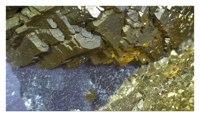 PYRITE ON FLUORITE - UNDER THE SCOPE 7.jpg