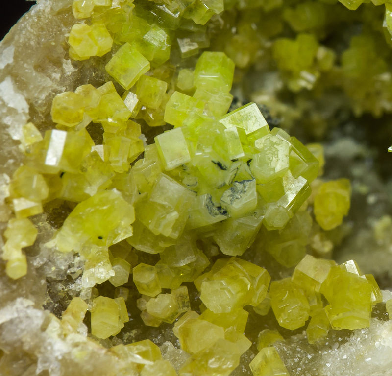 Pyromorphite - La Ascensin del Seor Mine_Zaragoza_Spain.jpg