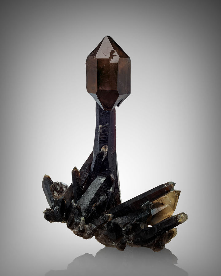 Quartz-MIM_Museum(2213-1).jpg