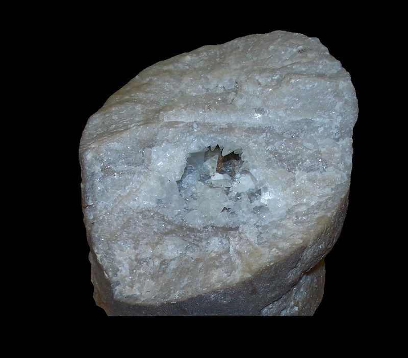 R-1-445, Calcite vug in Coral, Jeffersonville Limestone, Louisville Cement Co Quarry, Clark County, Indiana,  Collected by Ansel Gooding Spring 1966, 7.5 x 5.8 x 5.5 cm.JPG