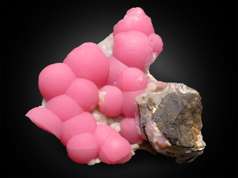 Pink botryoidal Rhodochrosite scatter around on a bed of gray chalcedony. 