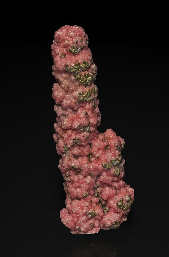 RhodoStalOp1.jpg
