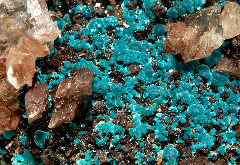 Rosasite - Ojuela Mine, Mapimi, Durango, Mexico.jpg