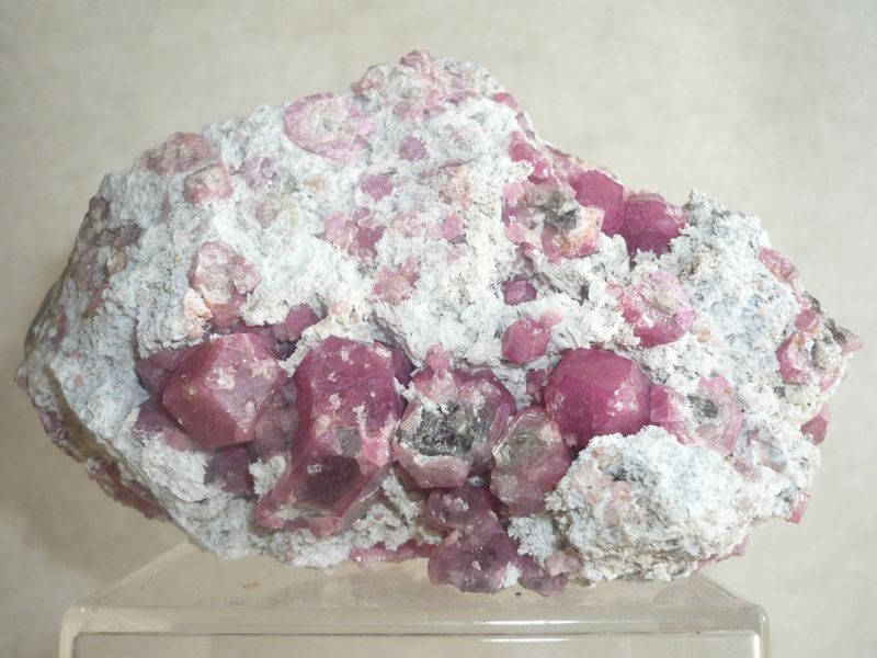 Rosolita-COA_3.JPG