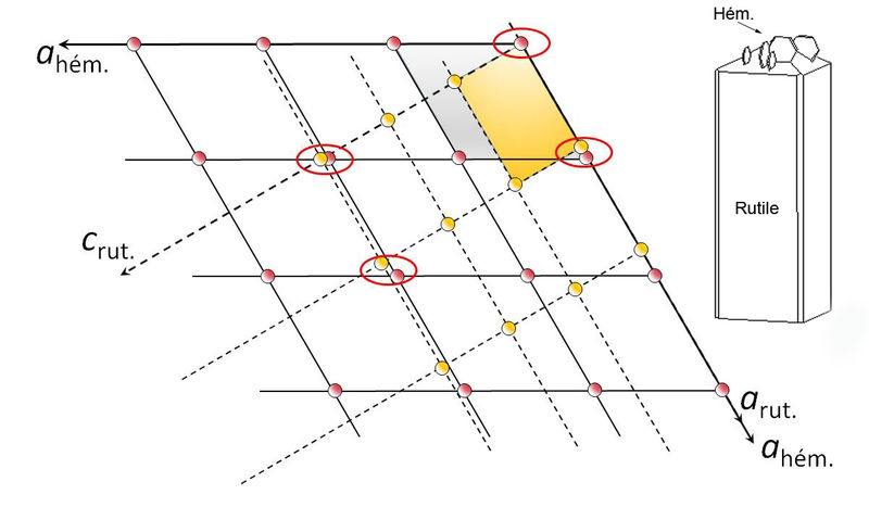 Rseau_epitaxie.jpg