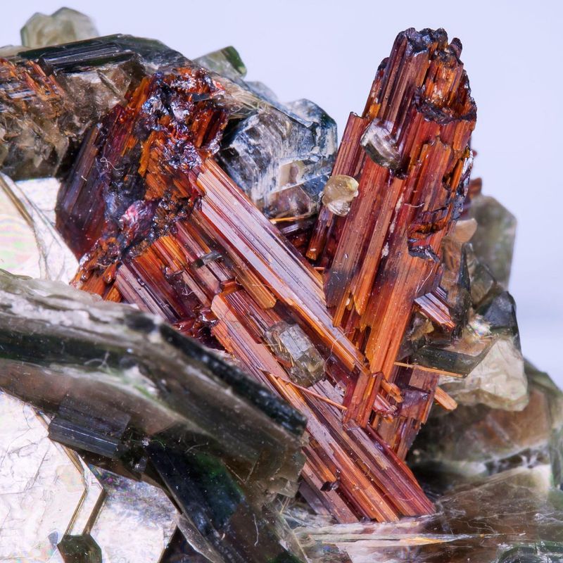 Rutile with Muscovite - Boiling Springs_North Carolina_USA.jpg