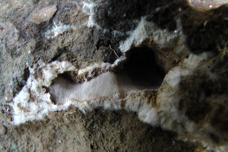 s1390010.jpg