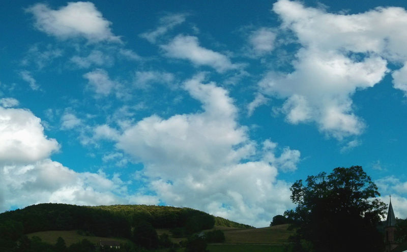 Sainte-Marie-aux-Mines 2015 - Nature.jpg