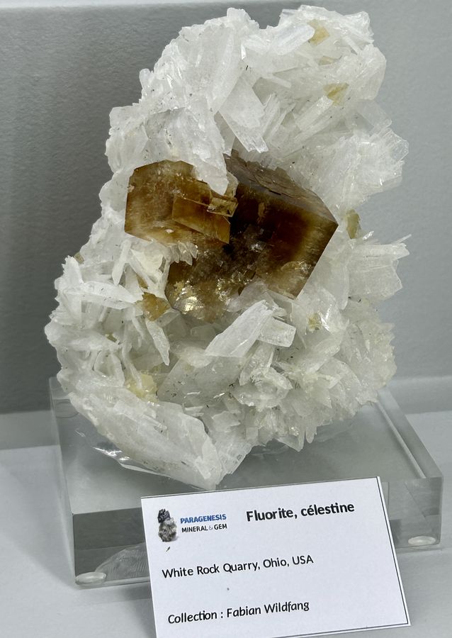 Sainte-Marie-aux-Mines 2024 - 218.JPG