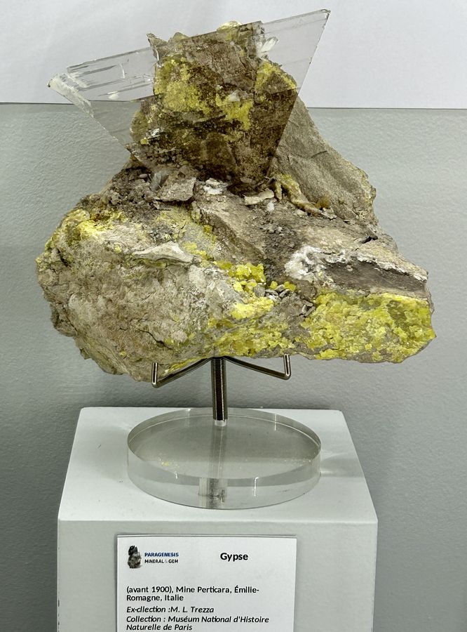 Sainte-Marie-aux-Mines 2024 - 225.JPG