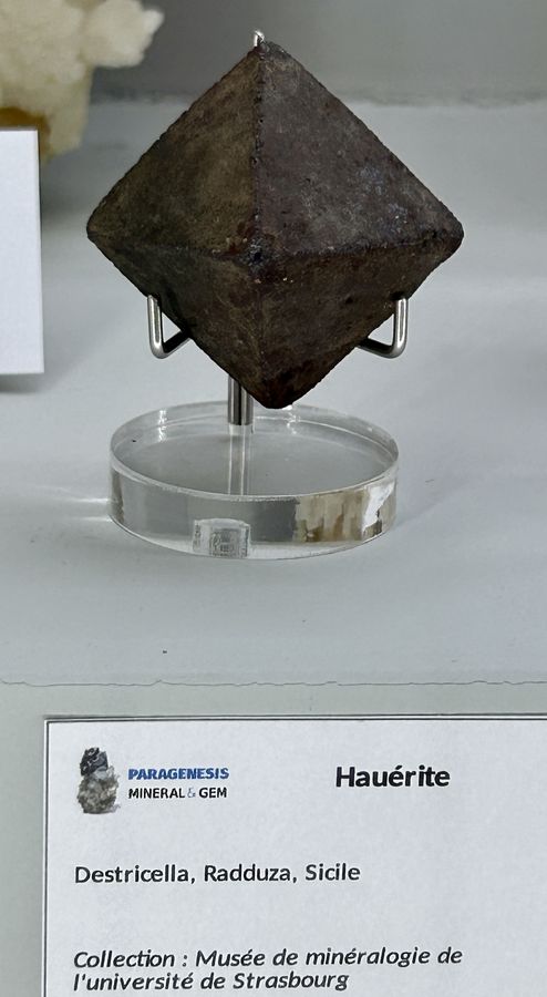 Sainte-Marie-aux-Mines 2024 - 226.JPG
