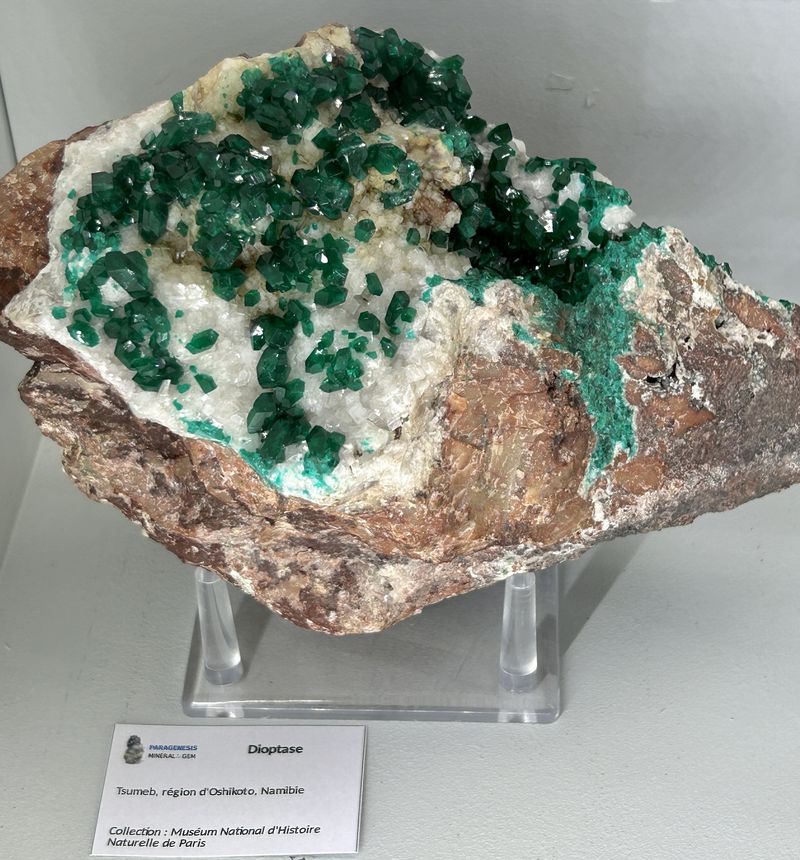 Sainte-Marie-aux-Mines 2024 - 232.JPG