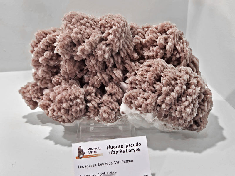 Sainte-Marie-aux-Mines - Fluorite after Baryte - Porres_France.jpg