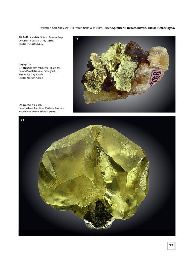 Sainte-Marie-aux-Mines_Mineralogical Almanac article about SMAM 2016 (9).jpg