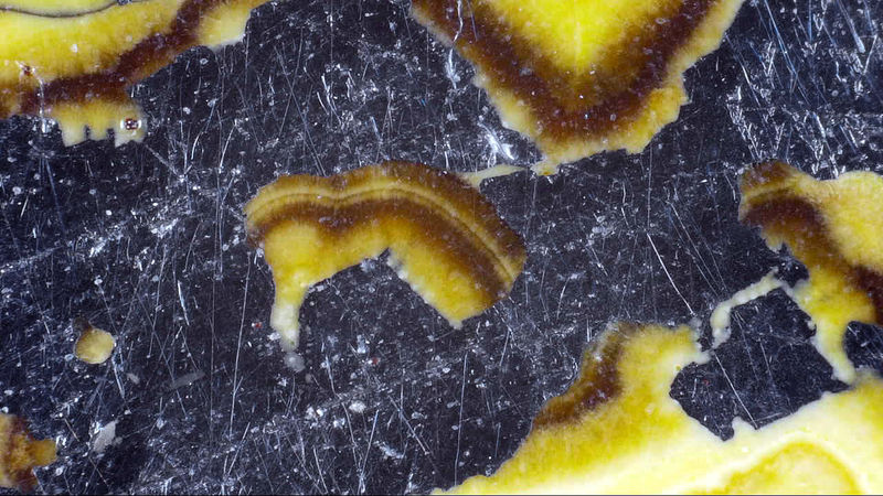 SCHALENBLENDE 10.jpg