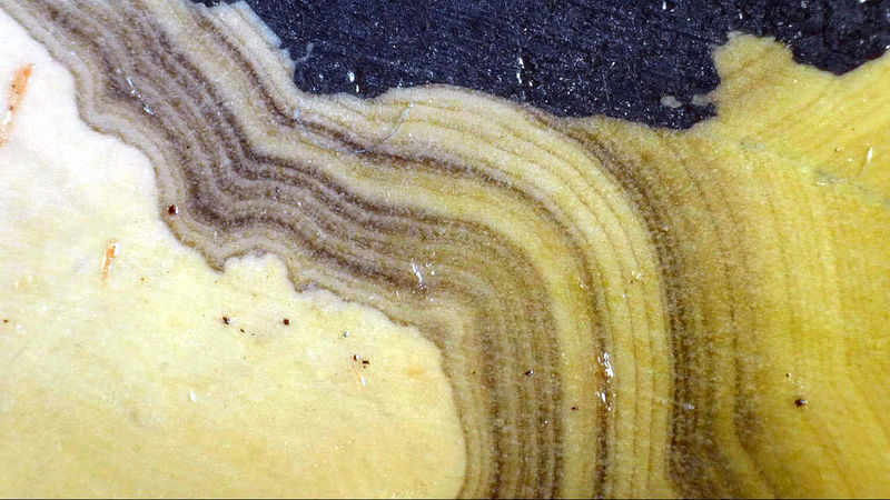 SCHALENBLENDE 12 - UNPOLISHED SIDE.jpg