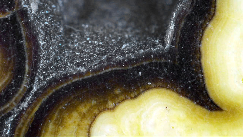 SCHALENBLENDE 1.jpg