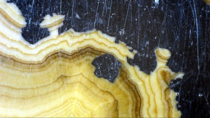 SCHALENBLENDE 5.jpg