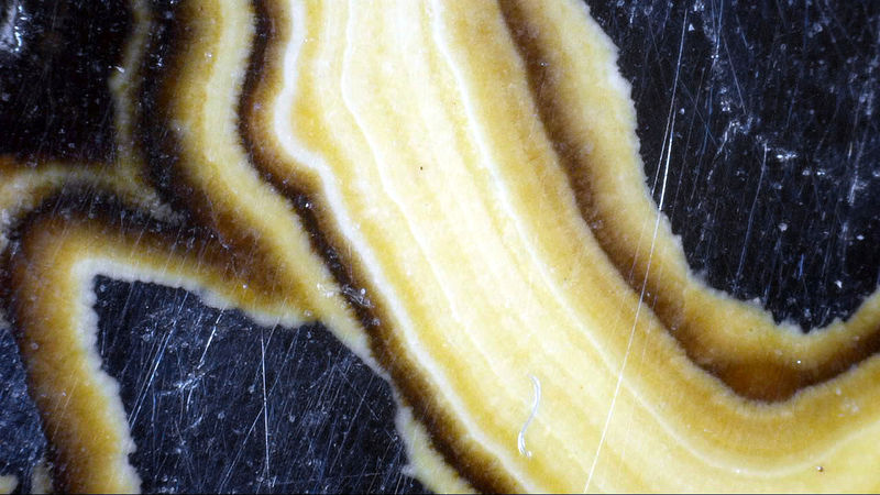 SCHALENBLENDE 6.jpg
