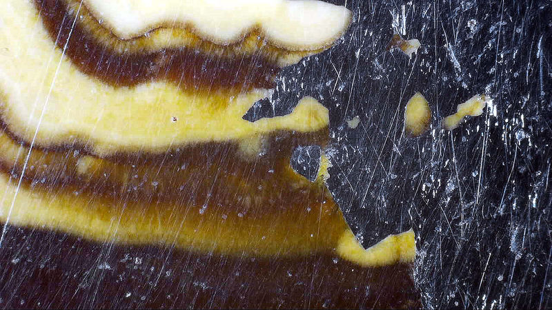 SCHALENBLENDE 7.jpg