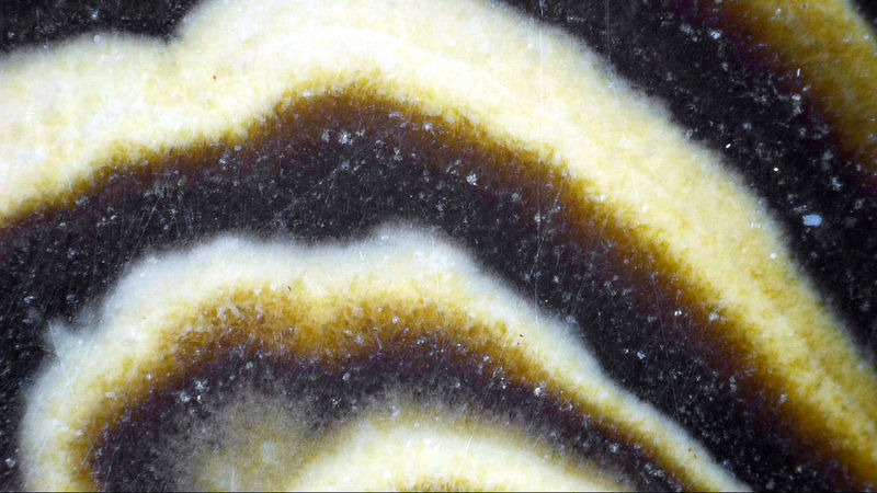 SCHALENBLENDE 8.jpg