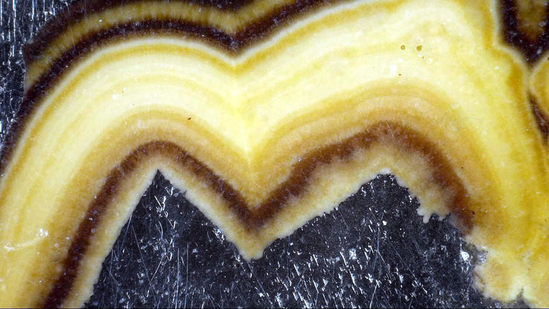 SCHALENBLENDE 9.jpg