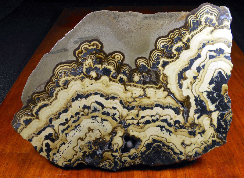 SCHALENBLENDE - POLISH CLASSIC.jpg