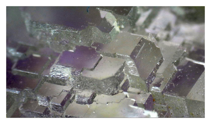 Shangbao Fluorite UNDER THE MICROSCOPE 3.jpg
