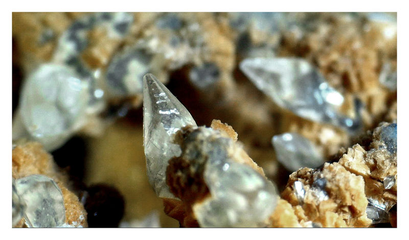 SHIMEN CALCITE CRYSTAL UNDER THE SCOPE 3.jpg