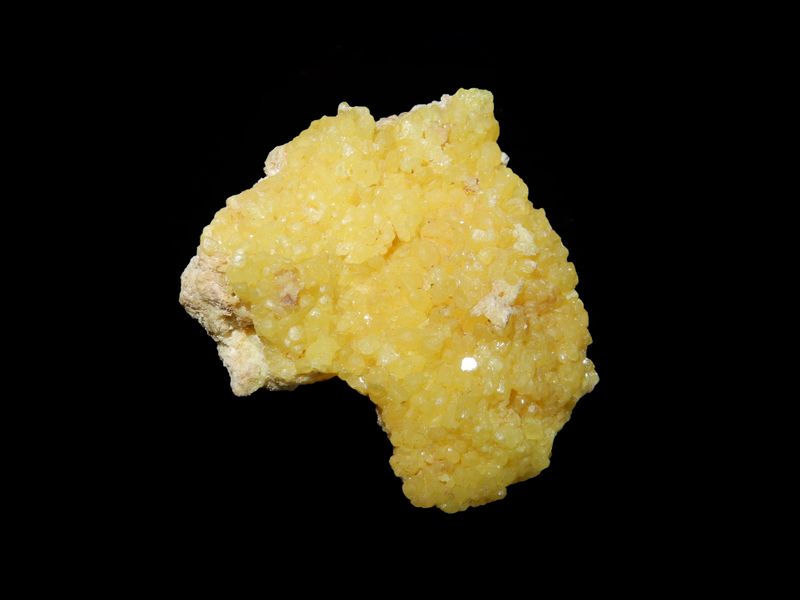 Soufre no 9 - FMF.JPG